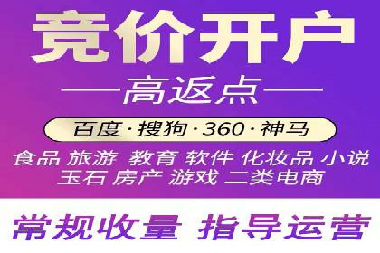 网络营销新篇章：竞价推广案例分析